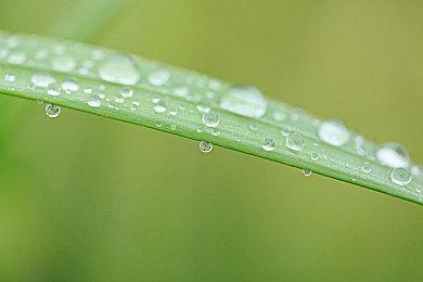 调酒师模拟器《Bartender Hustle》现已发售 国区63元